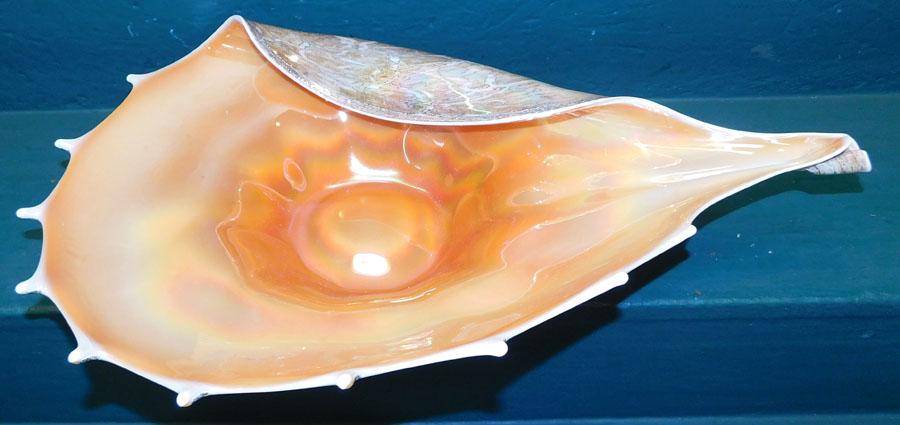 Polished Irridescent Glass Shell Bowl (1 of 4)