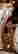 item-129305066=4