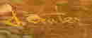 item-131153299=6