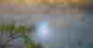 item-131153303=4