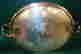 item-131153320=5