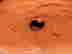 item-131153330=4