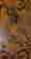 item-131153403=5