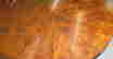 item-131153435=6