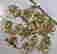 item-131153460=2