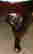 item-131153554=3
