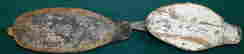 item-131153612=3