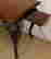 item-131153729=3