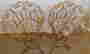 item-131153862=3