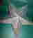 item-131754526=3