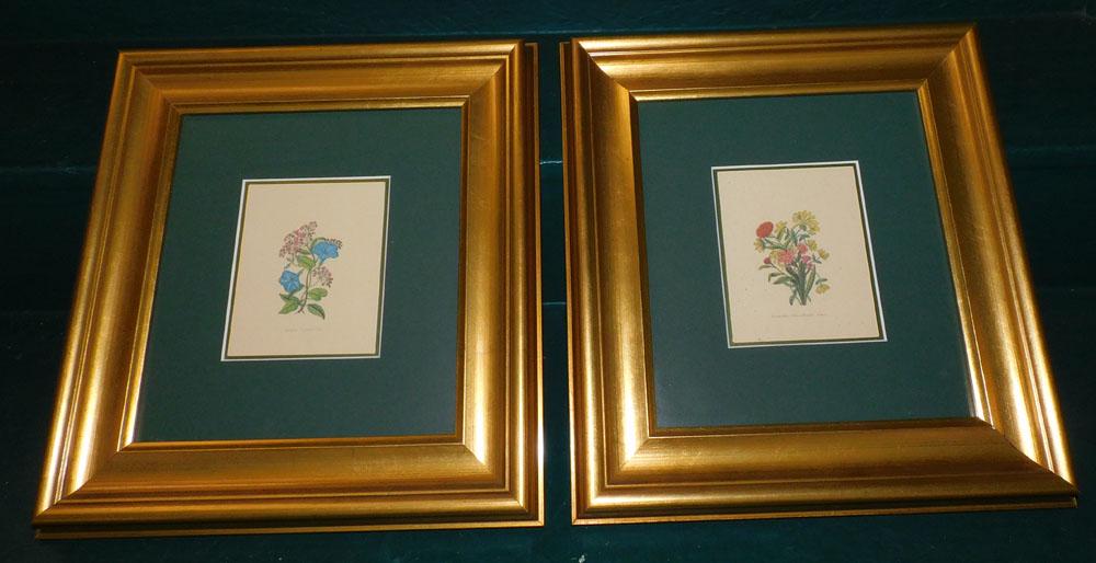 Two Framed Botanical Prints (1 of 4)