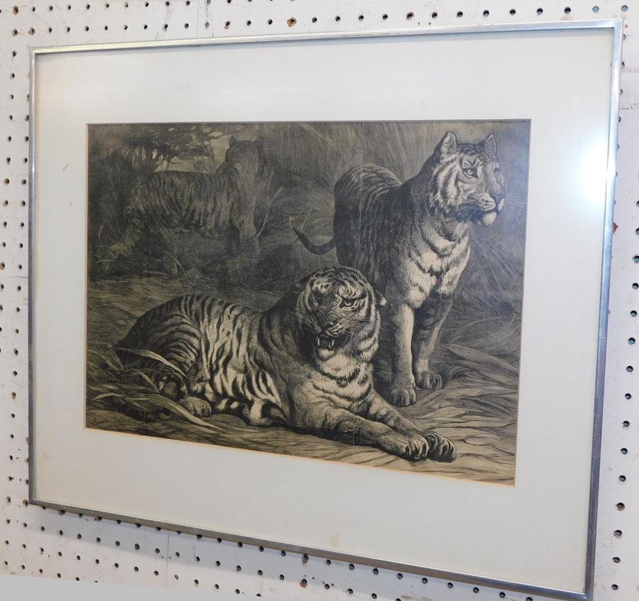 Framed Black & White Engraving (1 of 5)