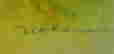item-131754726=7