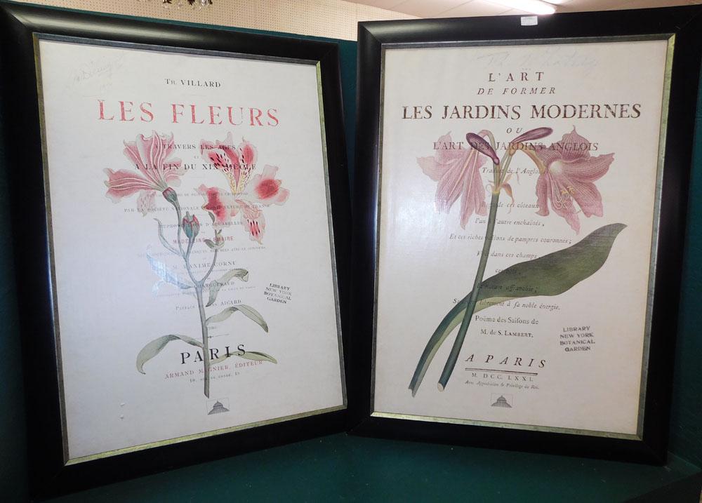 Pair of French Botanical Prints (1 of 7)