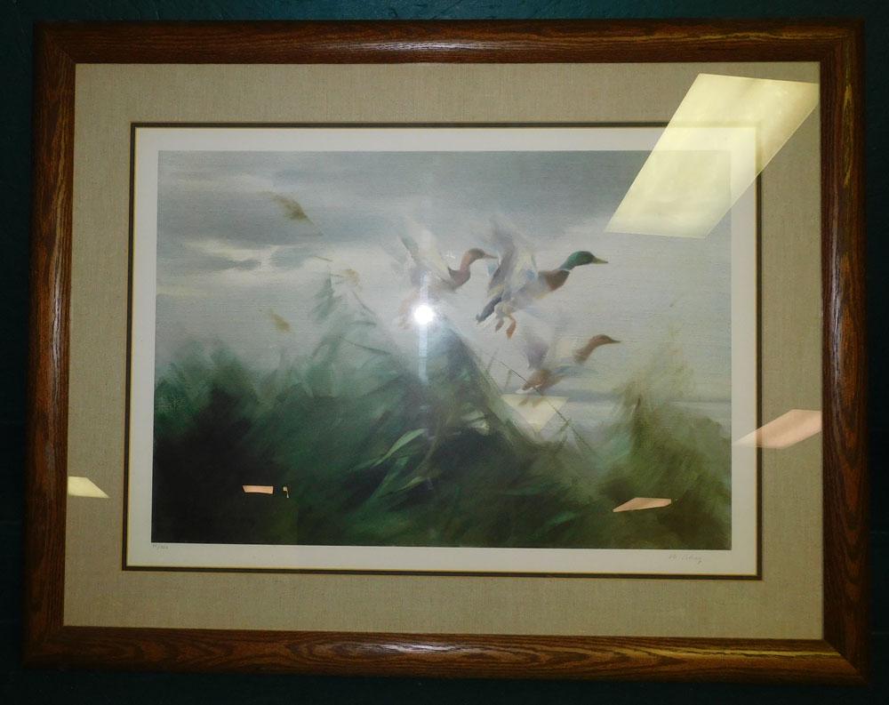 Pencil Signed & Numbered Duck Print (1 of 5)