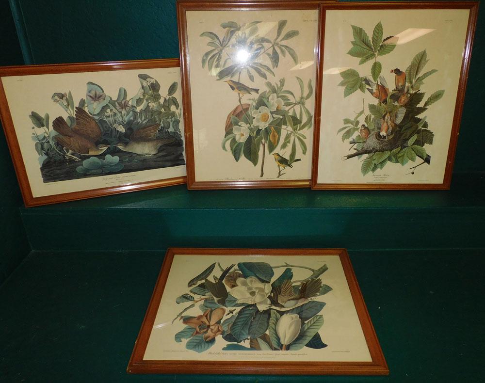 Lot of 4 Audubon Prints (1 of 7)