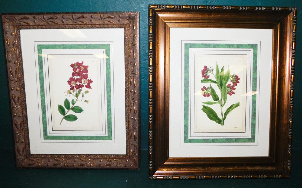 2 Framed Botanical Plate Prints (1 of 4)