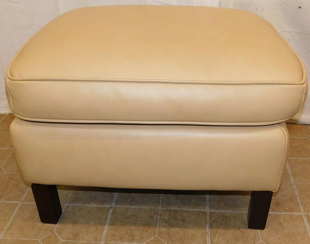 Leather Ottoman (1 of 5)