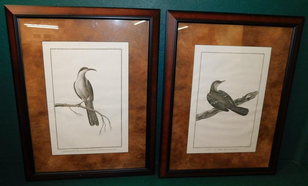 Pair of Framed Bird Engravings (1 of 8)