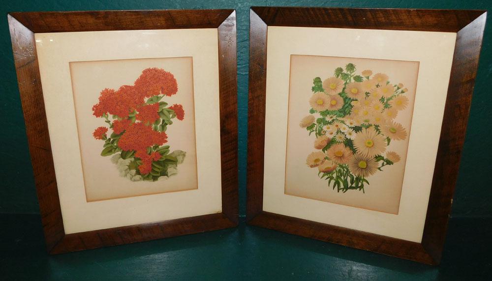 Two Framed Floral Prints (1 of 5)