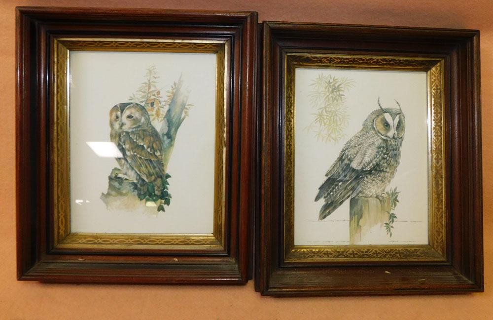 Pair Victorian Shadow Box Framed Owl Prints (1 of 2)