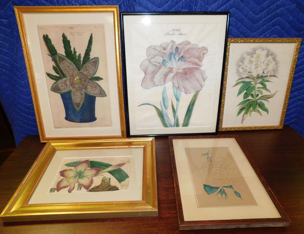 Lot Framed Colored Engravings (1 of 4)