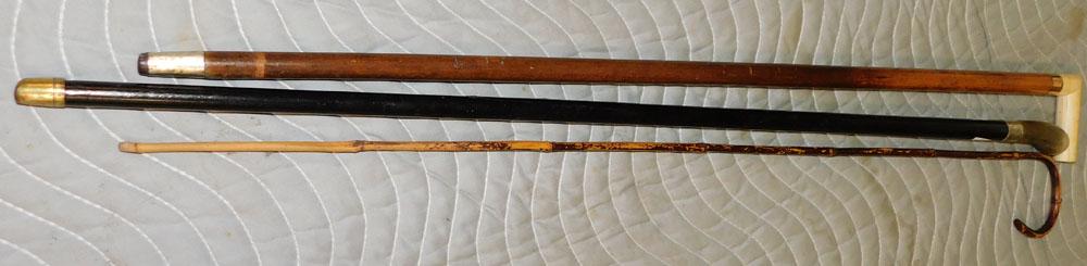 Lot 3 Walking Sticks (1 of 3)