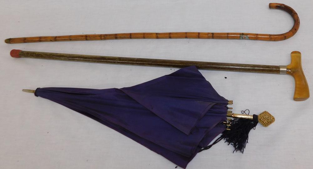 Two Walking Sticks & One Umbrella (1 of 3)