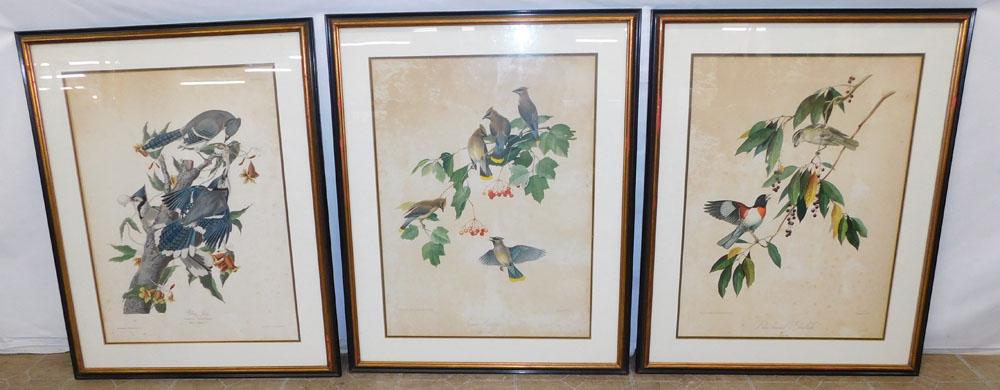 3 Framed Bird Lithographs (1 of 8)
