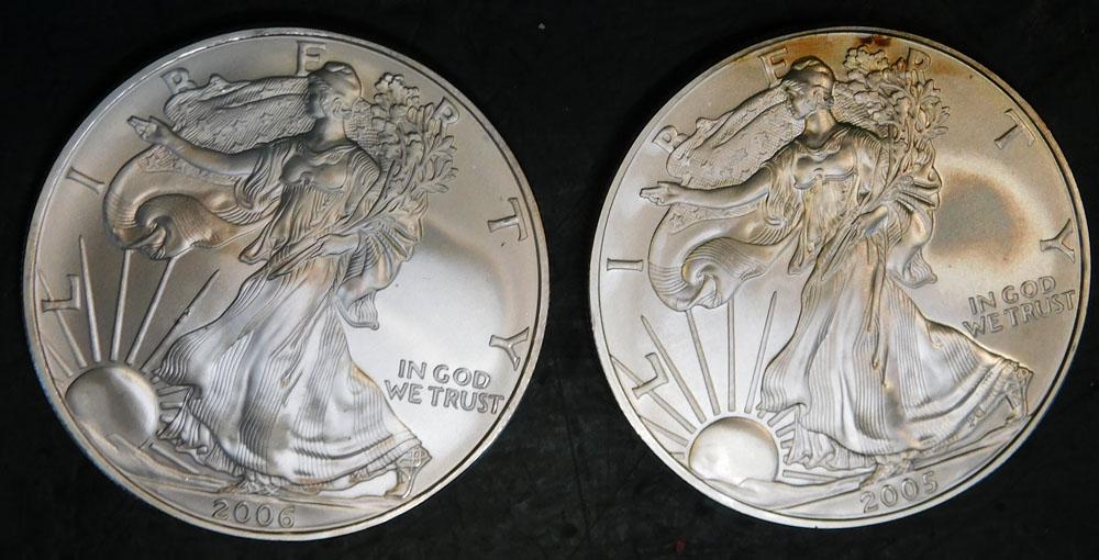 2 Walking Liberty Silver Dollars, (2005, 2006) (1 of 2)