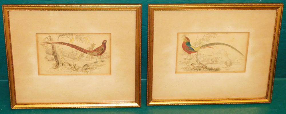 Pair of Hand Colored Pheasant Engravings (1 of 3)