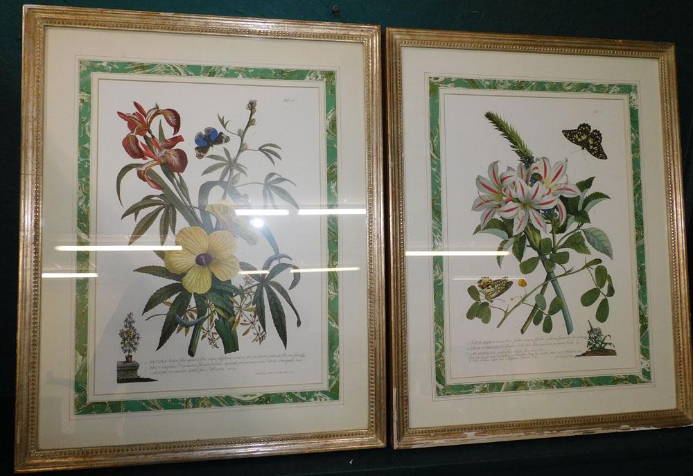 Pair Botanical Prints (1 of 5)