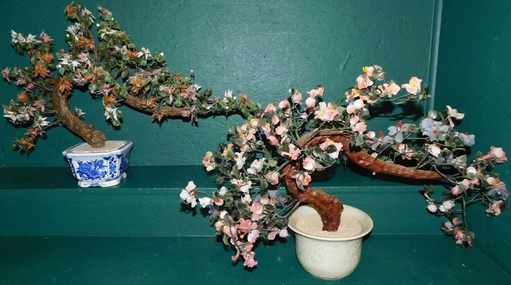 Two Large Oriental  Jade Trees (1 of 5)