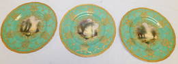 3 Hand Painted Enamel Decorated Royal Worcester Plates