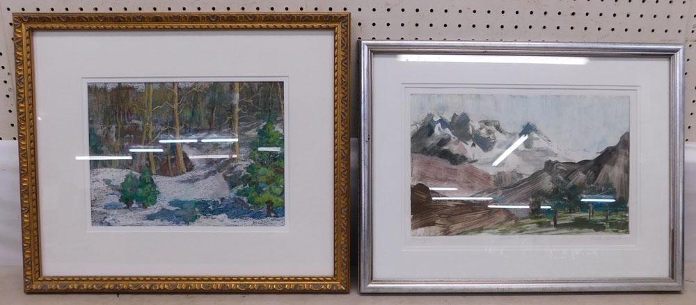 Two Pencil Signed & Numbered Framed Watercolors (1 of 4)