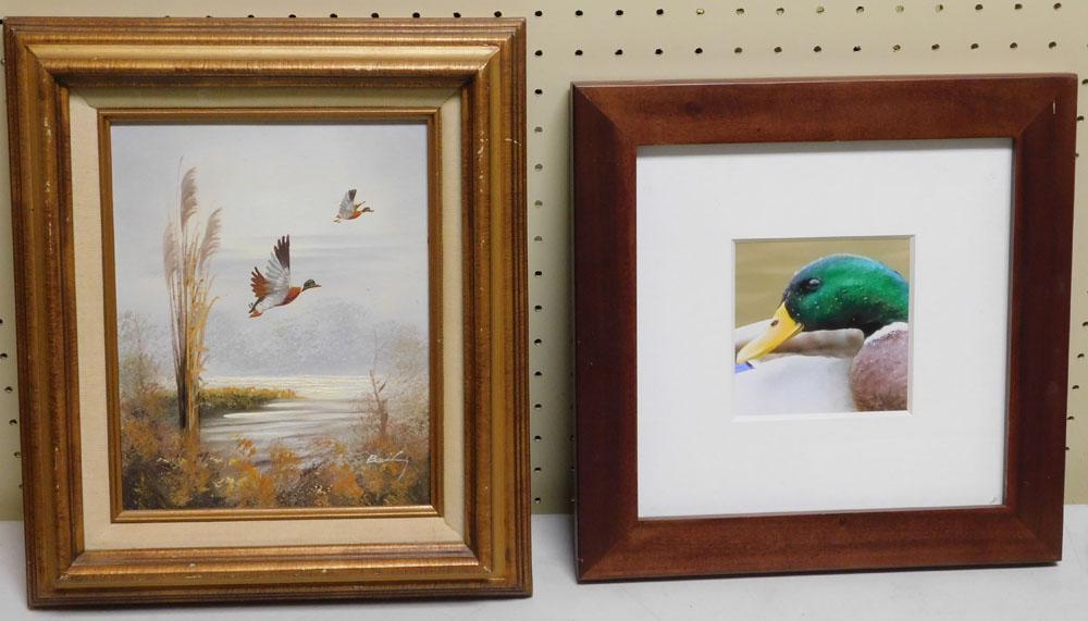 Oil on Board of Ducks Flying Signed & Framed  Photo of Mallard Duck (1 of 4)