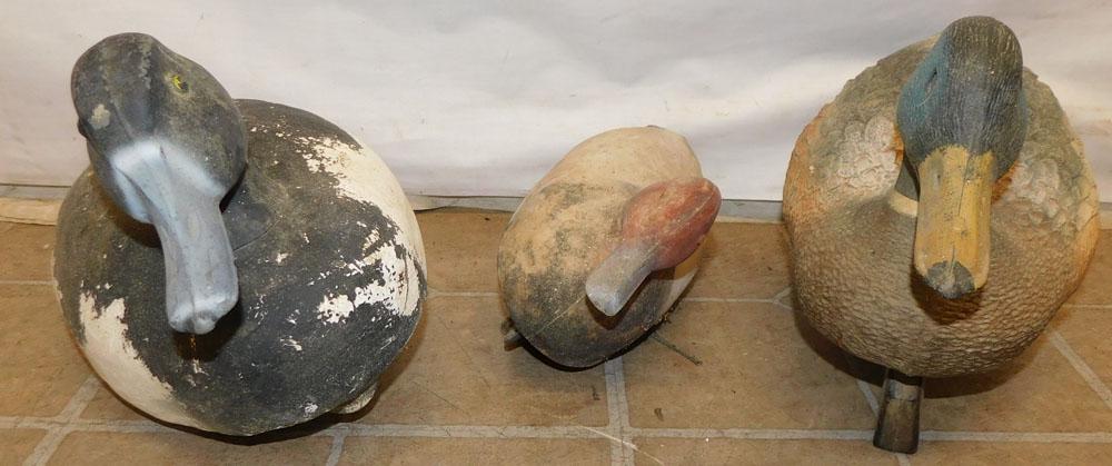 Three Duck Decoys (1 of 2)