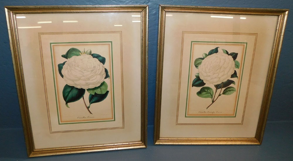 Pair of Framed Botanical Engravings (1 of 7)