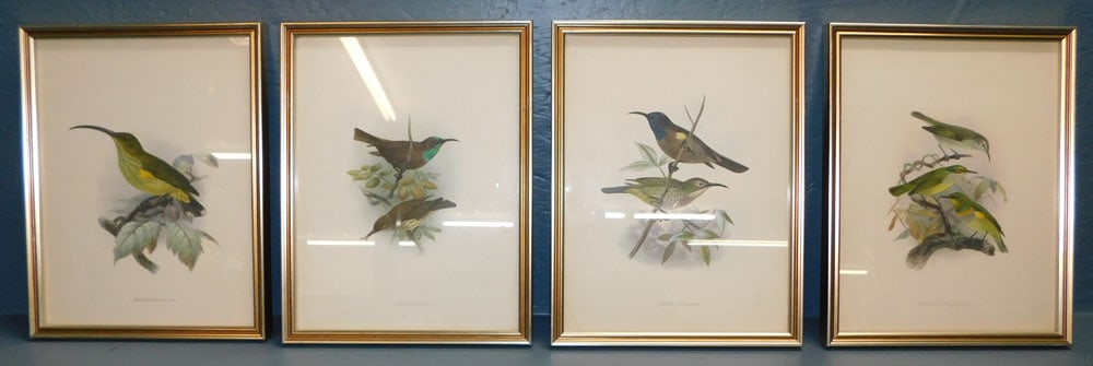 4 Framed Hand Colored Bird Engravings (1 of 8)