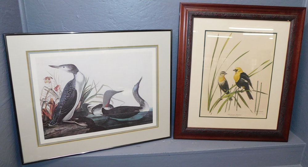 Two Framed Bird Prints (1 of 6)