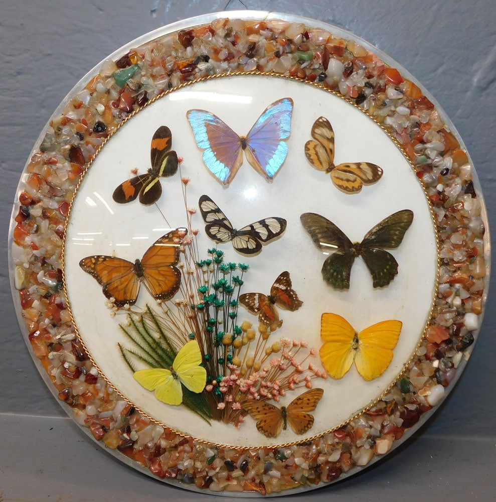 Framed Butterfly Collage (1 of 3)