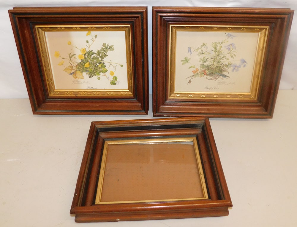 Three Antique Walnut Shadowbox Frames, (Two With Botanical Prints) (1 of 6)
