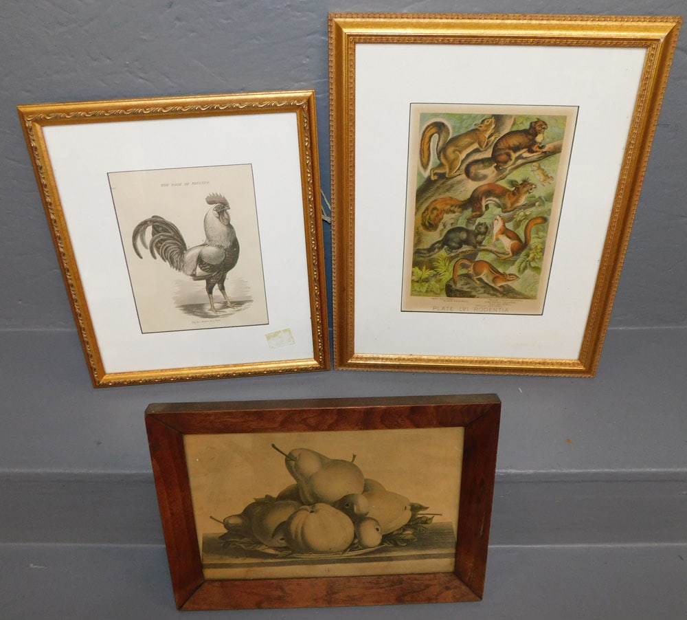 Three Framed Prints (1 of 6)