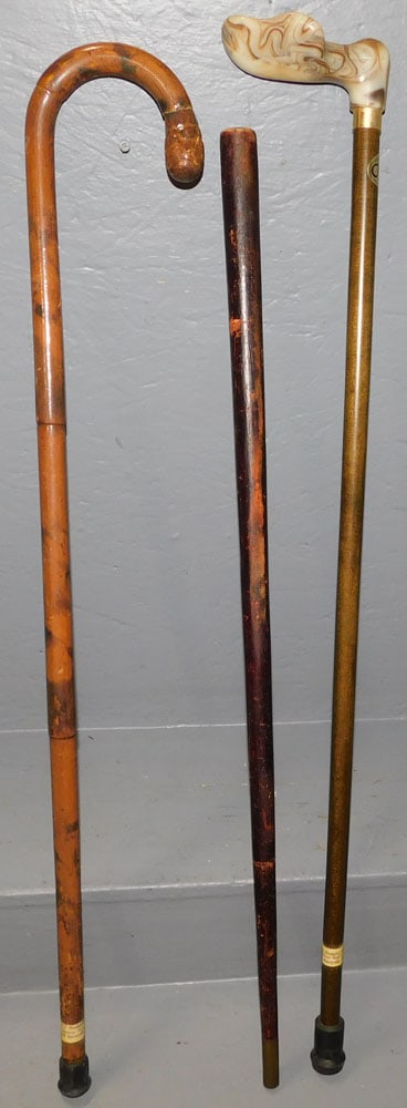Three Walking Sticks (1 of 2)