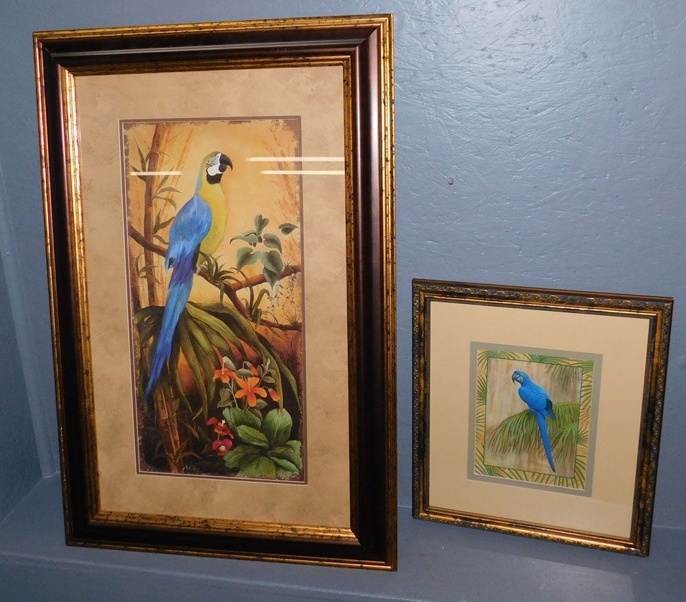 2 Framed Bird Prints (1 of 5)