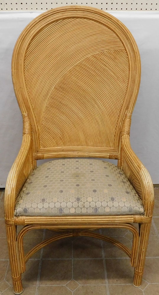 Modern Rattan Arm Chair (1 of 5)