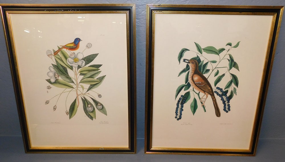 Two Bird Framed Prints (1 of 4)