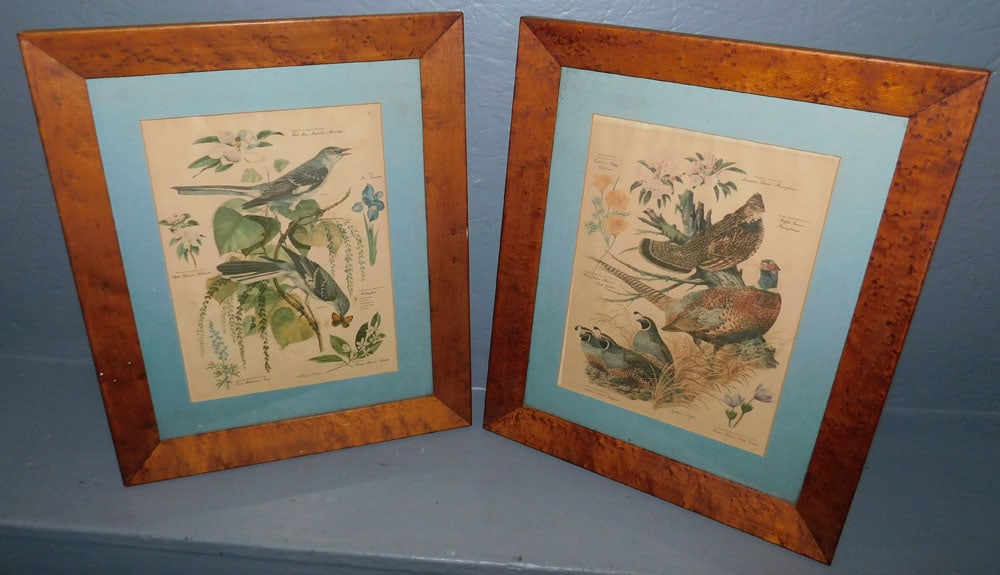 Pair Birds Eye Maple Framed Bird Prints (1 of 7)