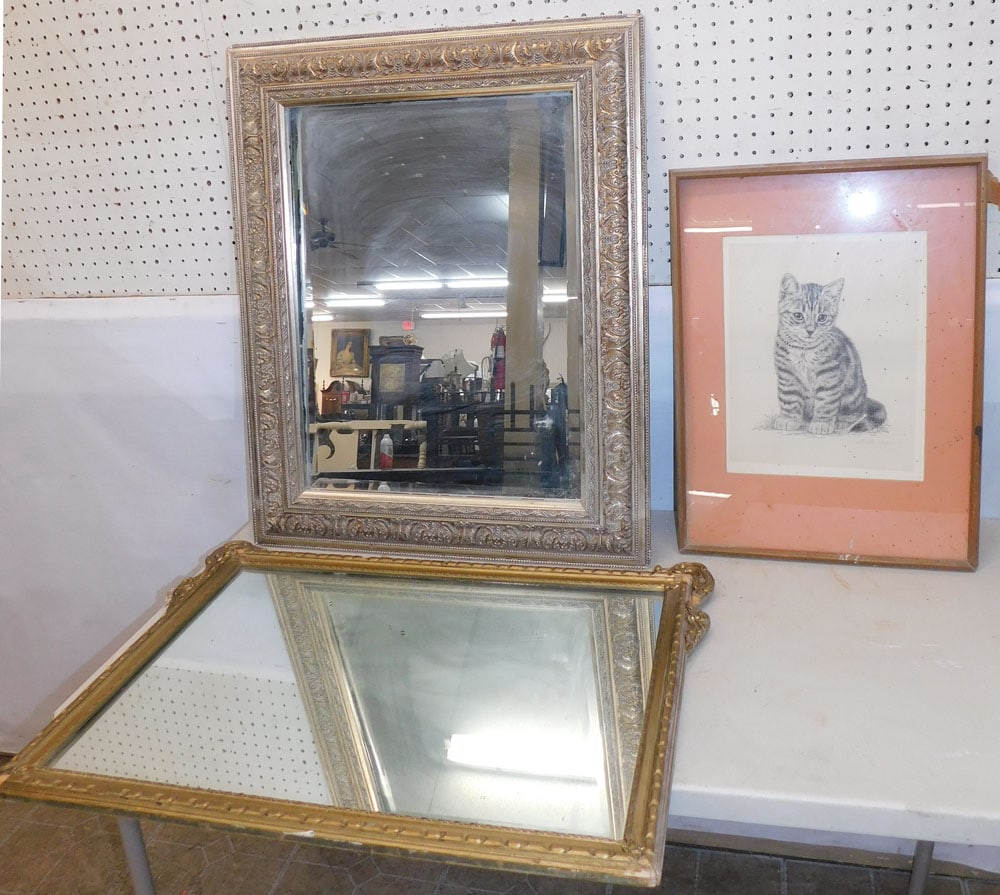 Framed Print, Framed Mirror, & Frame (1 of 5)