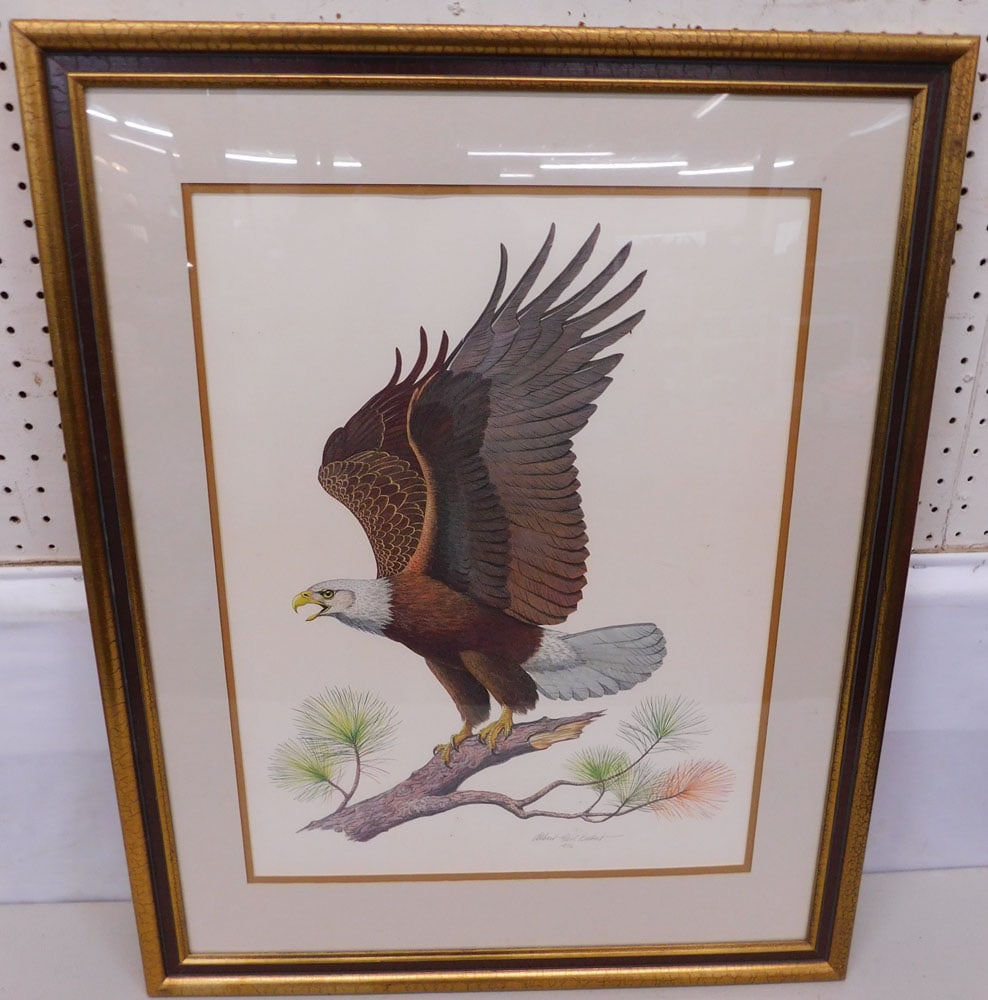 Framed Eagle Print - Pencil Signed & Dated (1 of 4)